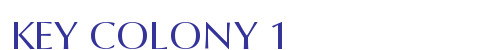 KEY COLONY 1
