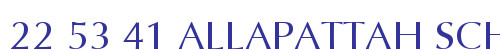 22 53 41 ALLAPATTAH SCHOO